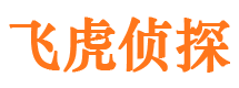 定陶私人侦探